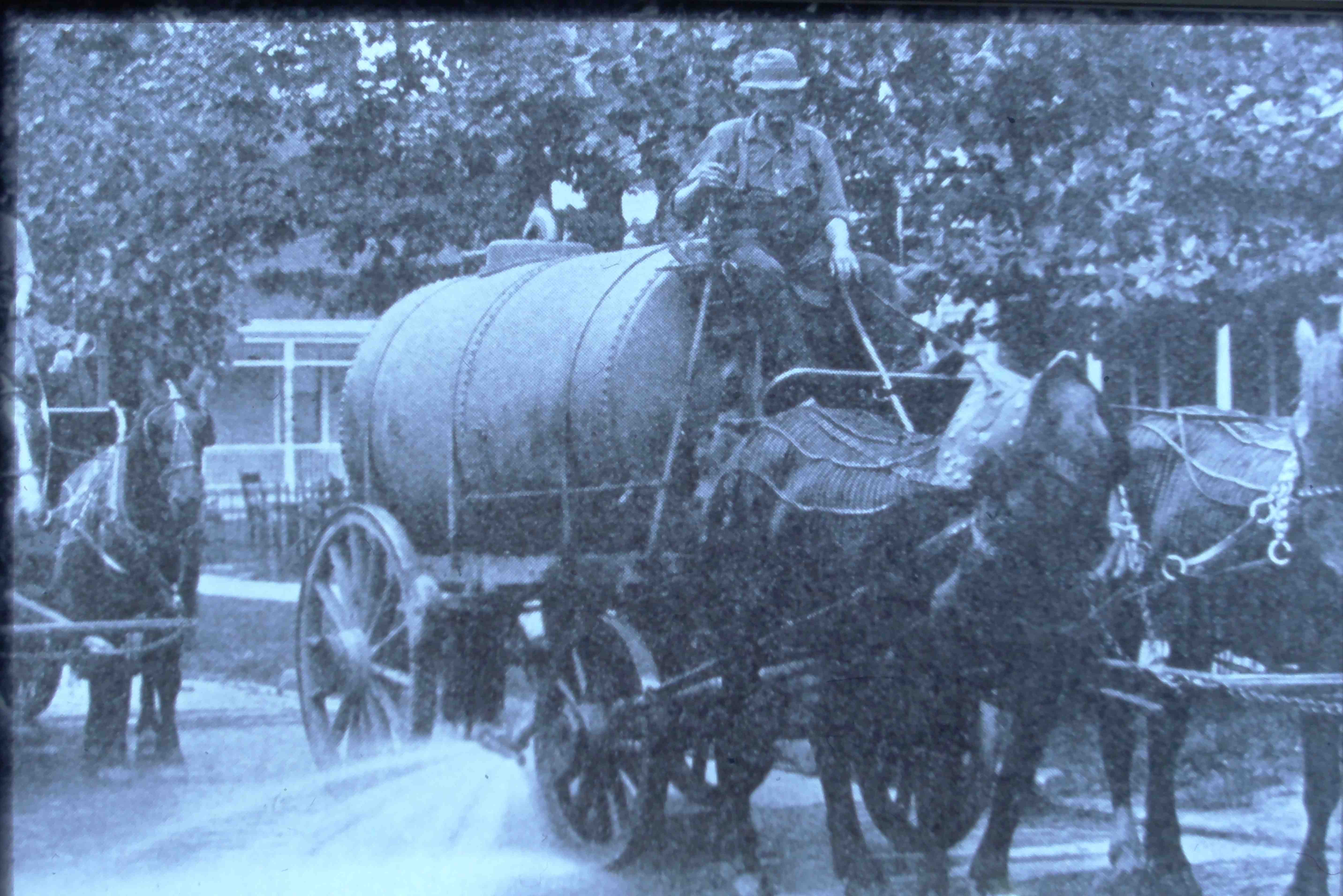 1910s (1-10)